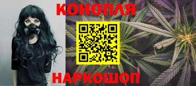 крисы Кимры